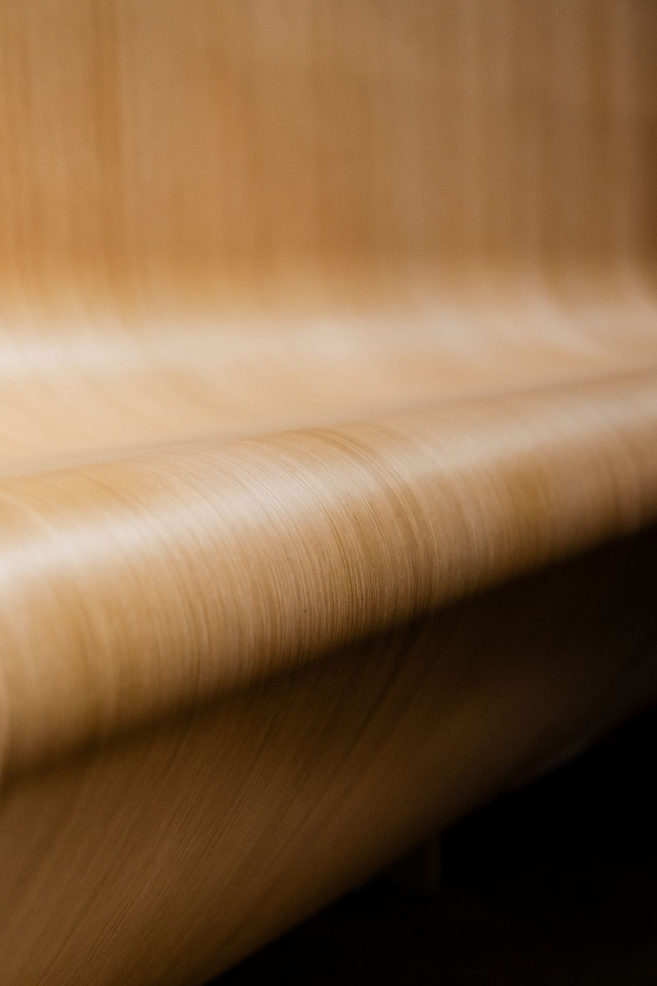 Détail macro d'un placage bois
